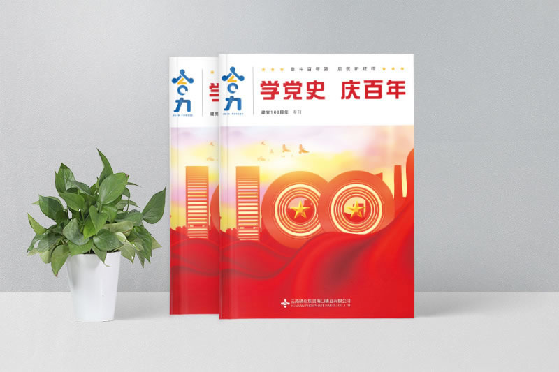 ?？诹谆瘧c黨100周年企業(yè)期刊畫冊(cè)