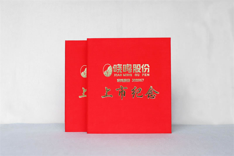 企業(yè)集團(tuán)上市照片相冊集設(shè)計(jì)定制-公司上市紀(jì)念冊制作