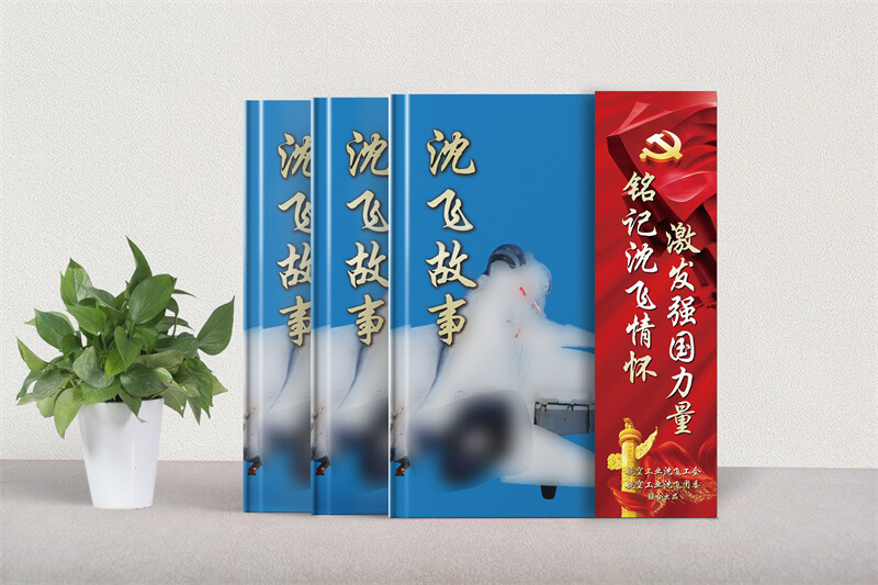 帶U盤和光盤的企業(yè)紀(jì)念相冊制作-記錄公司文化發(fā)展相冊設(shè)計