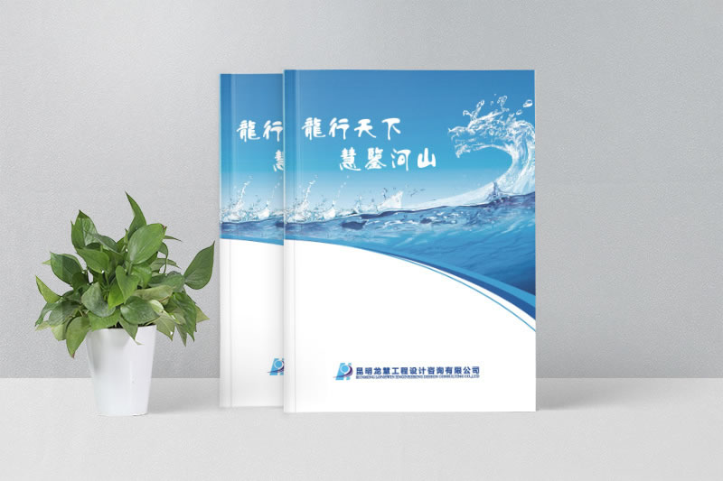 企業(yè)畫冊設(shè)計為什么要專業(yè)的畫冊制作公司來設(shè)計