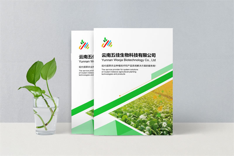 煙草種植公司畫冊設計-農(nóng)業(yè)企業(yè)宣傳畫冊制作