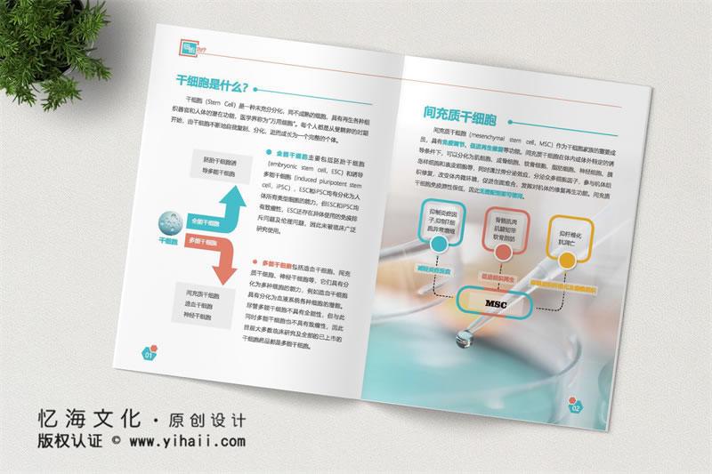 昆明憶海文化昆明企業(yè)宣傳畫冊(cè)制作-公司宣傳畫冊(cè)定制-生物科技公司畫冊(cè)設(shè)計(jì)