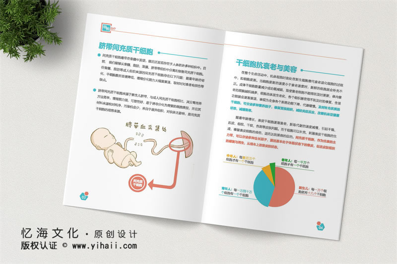 昆明憶海文化昆明企業(yè)宣傳畫冊(cè)制作-公司宣傳畫冊(cè)定制-生物科技公司畫冊(cè)設(shè)計(jì)