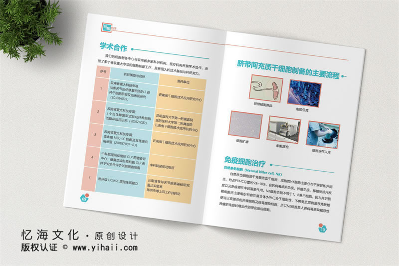 昆明憶海文化昆明宣傳畫冊設計-怎么制作企業(yè)畫冊