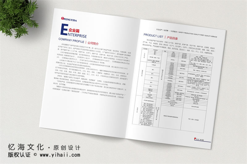 昆明憶海文化-公司宣傳畫(huà)冊(cè)設(shè)計(jì)制作-昆明工藝氣體畫(huà)冊(cè)定制