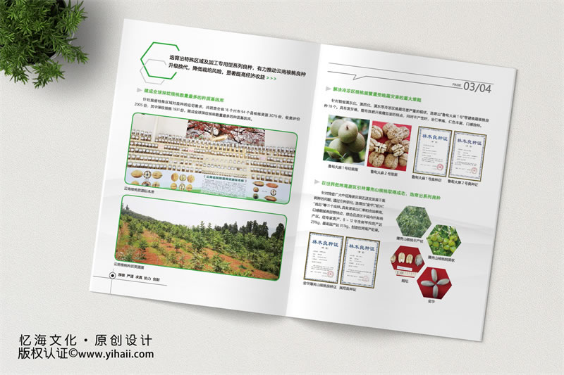 【云南省林業(yè)和草原科學院】核桃生產(chǎn)鏈關(guān)鍵創(chuàng)新與應用成果介紹